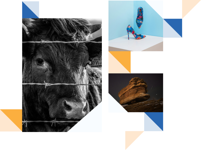 shaping a diverse photographic future section image