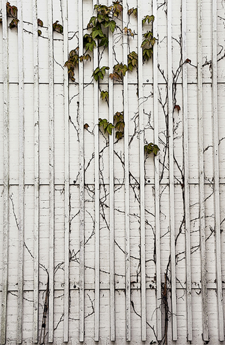 Mala Mukerjee Fine Lines