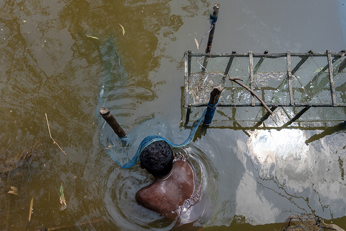 Ranita Roy image 002