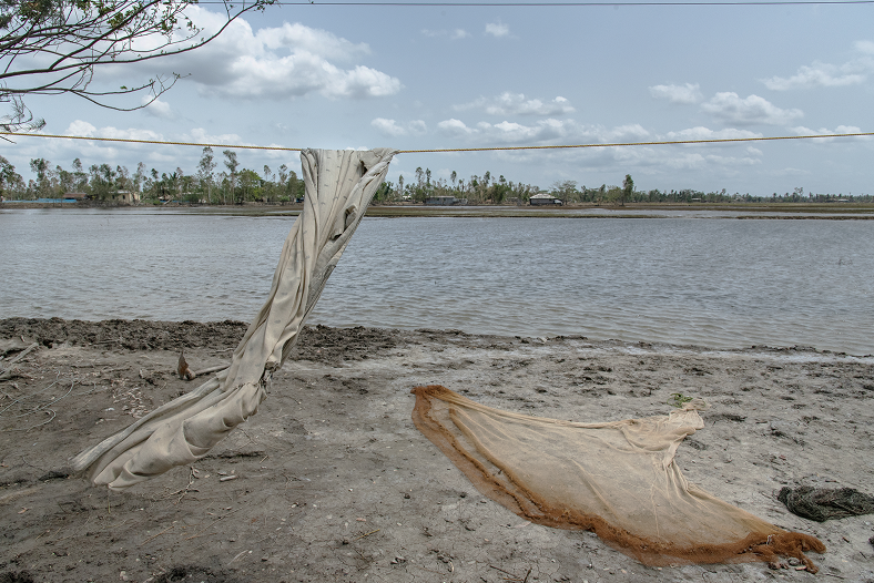 Ranita Roy image 003