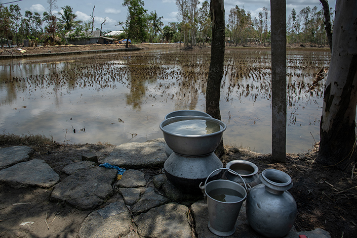 Ranita Roy image 006